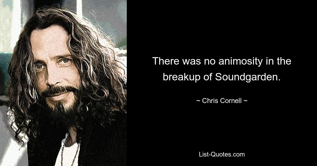 Es gab keine Feindseligkeit bei der Auflösung von Soundgarden. — © Chris Cornell