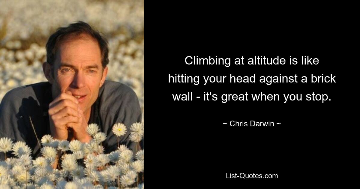 Climbing at altitude is like hitting your head against a brick wall - it's great when you stop. — © Chris Darwin