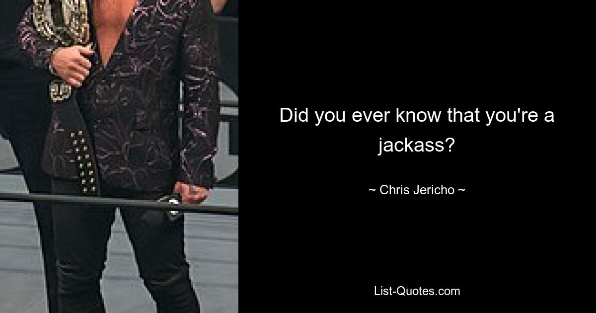 Did you ever know that you're a jackass? — © Chris Jericho