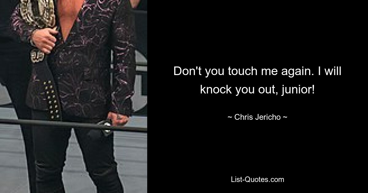 Don't you touch me again. I will knock you out, junior! — © Chris Jericho