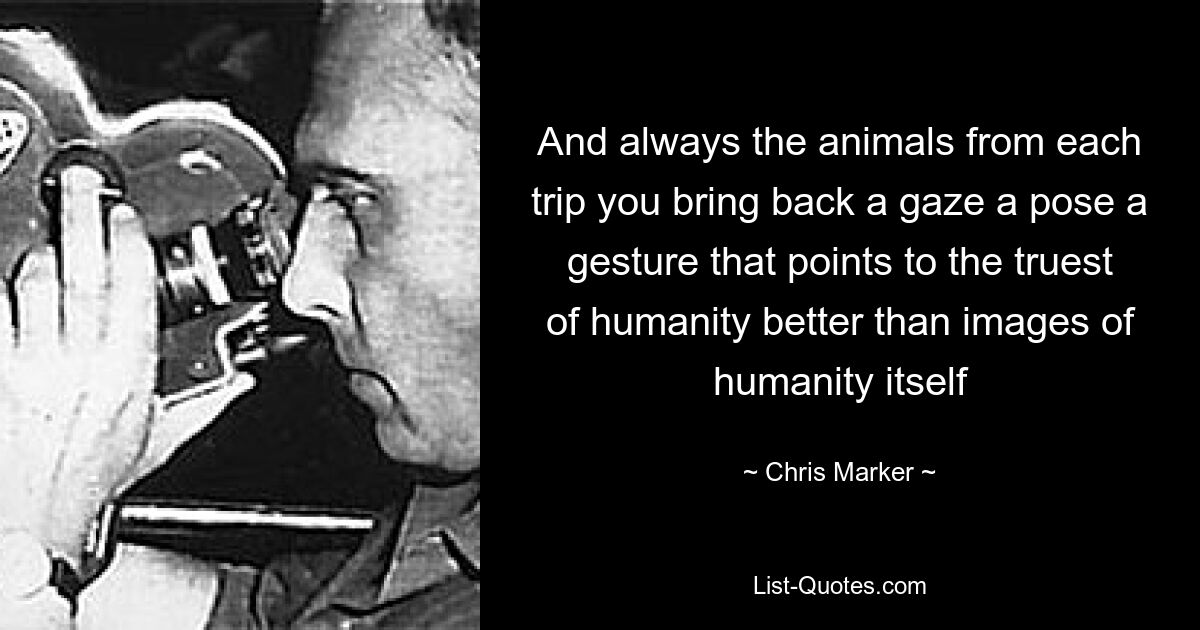 And always the animals from each trip you bring back a gaze a pose a gesture that points to the truest of humanity better than images of humanity itself — © Chris Marker