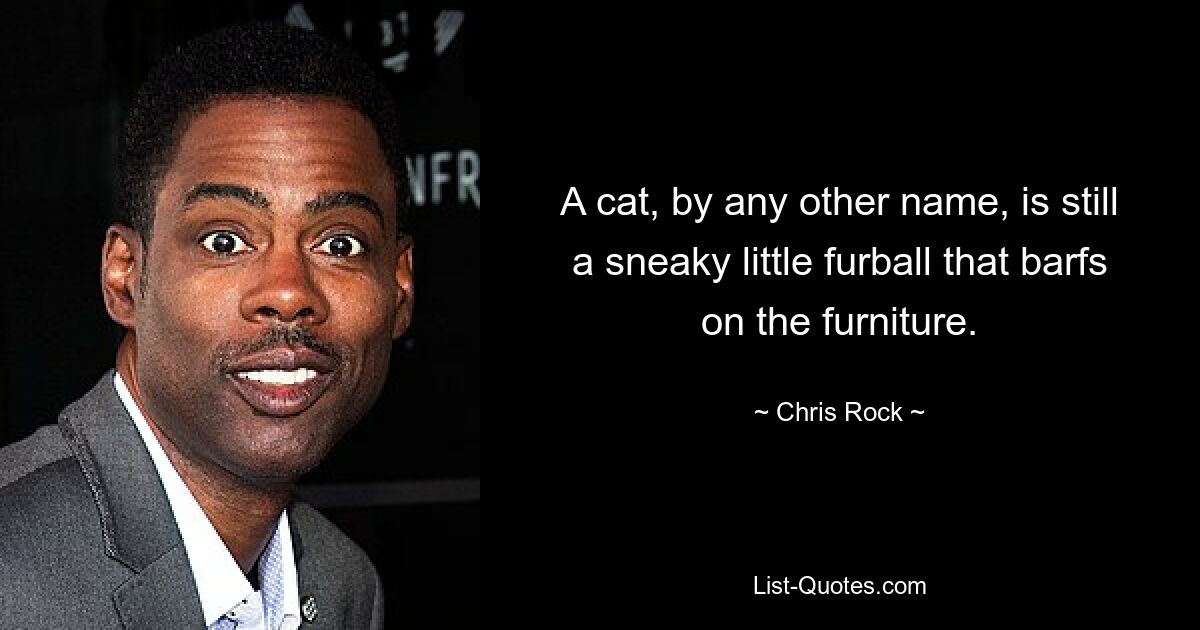 A cat, by any other name, is still a sneaky little furball that barfs on the furniture. — © Chris Rock