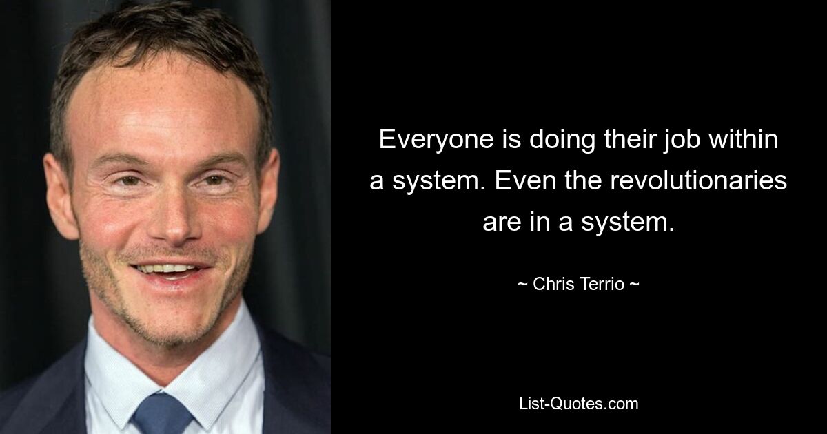 Everyone is doing their job within a system. Even the revolutionaries are in a system. — © Chris Terrio