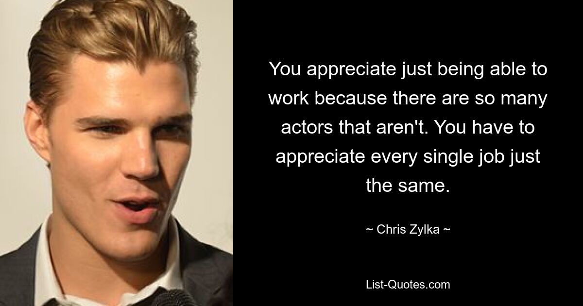 You appreciate just being able to work because there are so many actors that aren't. You have to appreciate every single job just the same. — © Chris Zylka