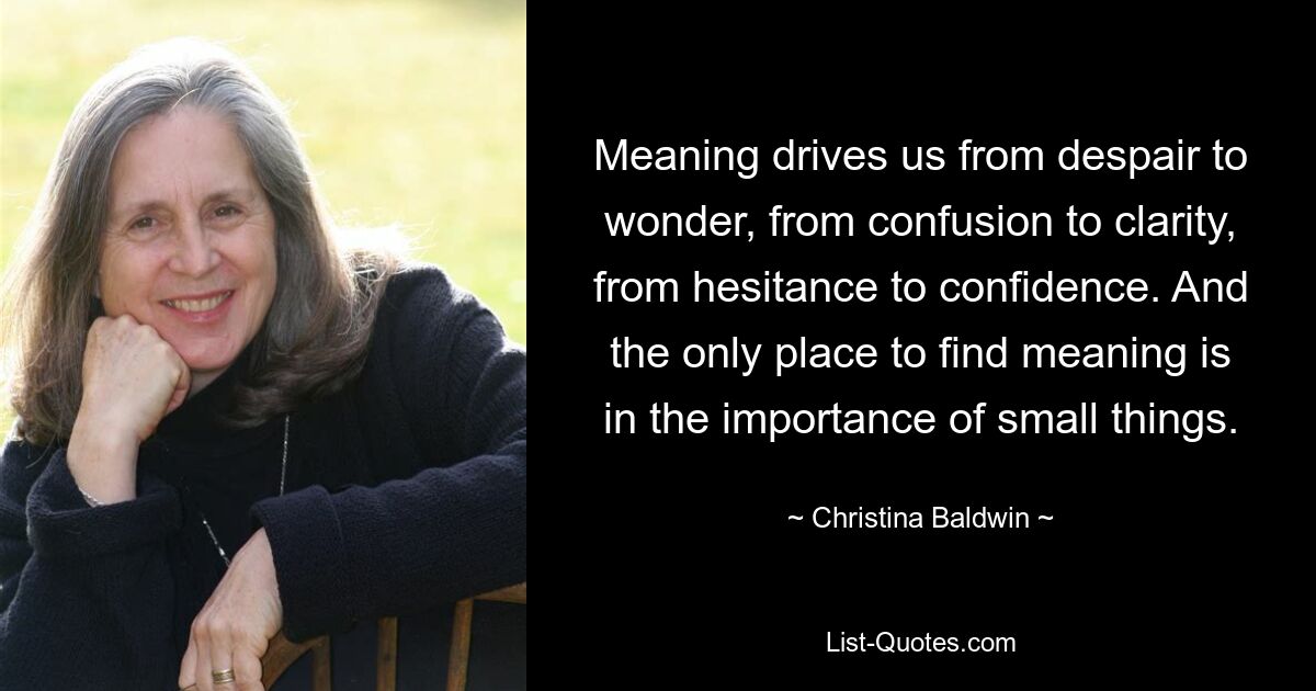 Meaning drives us from despair to wonder, from confusion to clarity, from hesitance to confidence. And the only place to find meaning is in the importance of small things. — © Christina Baldwin