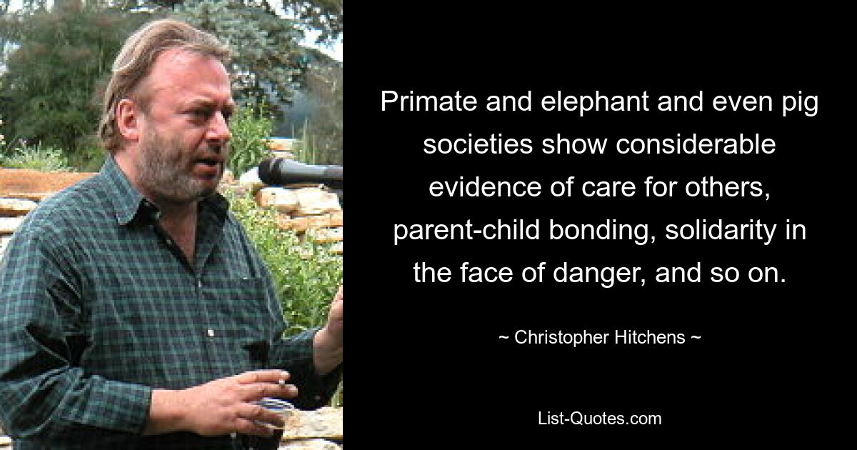 Primate and elephant and even pig societies show considerable evidence of care for others, parent-child bonding, solidarity in the face of danger, and so on. — © Christopher Hitchens