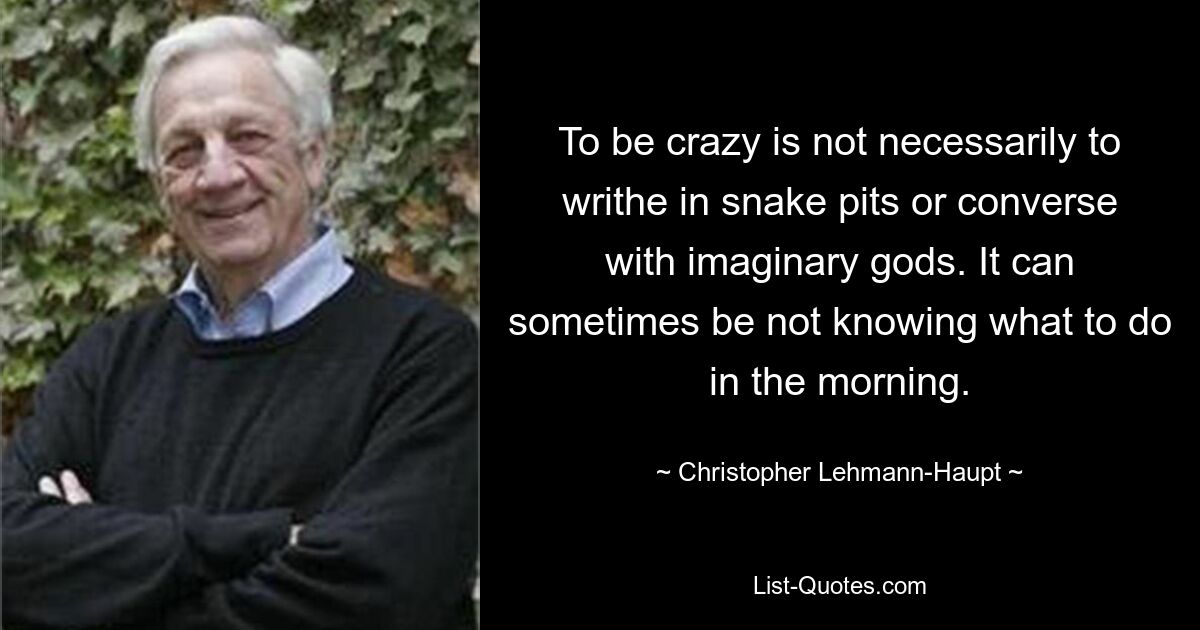 To be crazy is not necessarily to writhe in snake pits or converse with imaginary gods. It can sometimes be not knowing what to do in the morning. — © Christopher Lehmann-Haupt