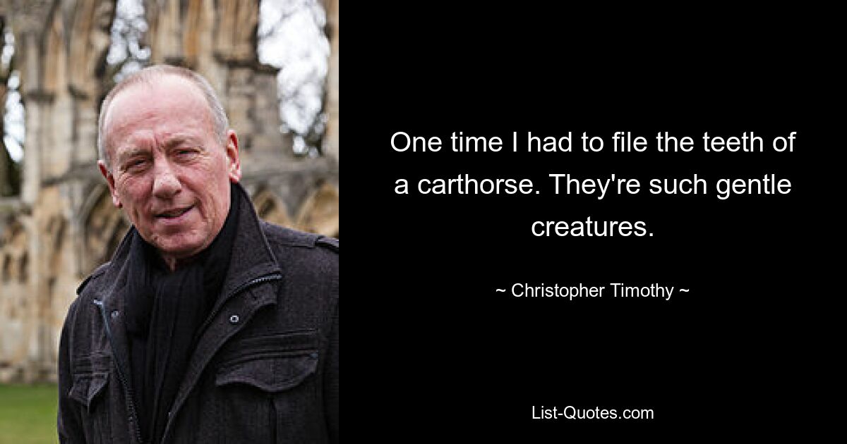 One time I had to file the teeth of a carthorse. They're such gentle creatures. — © Christopher Timothy