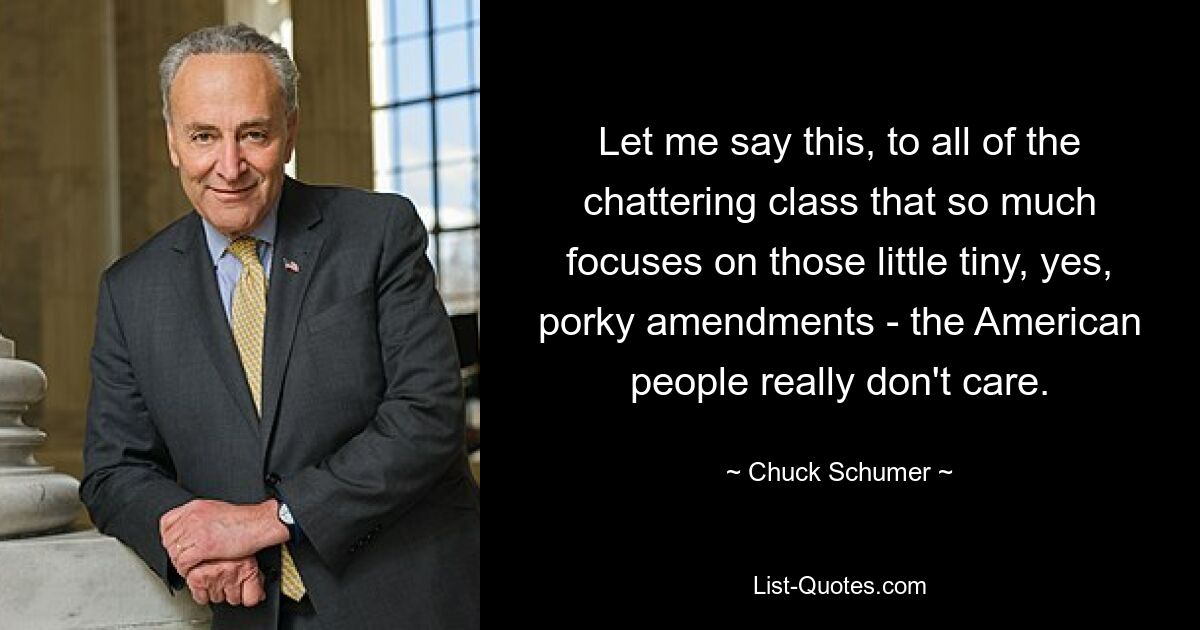 Let me say this, to all of the chattering class that so much focuses on those little tiny, yes, porky amendments - the American people really don't care. — © Chuck Schumer