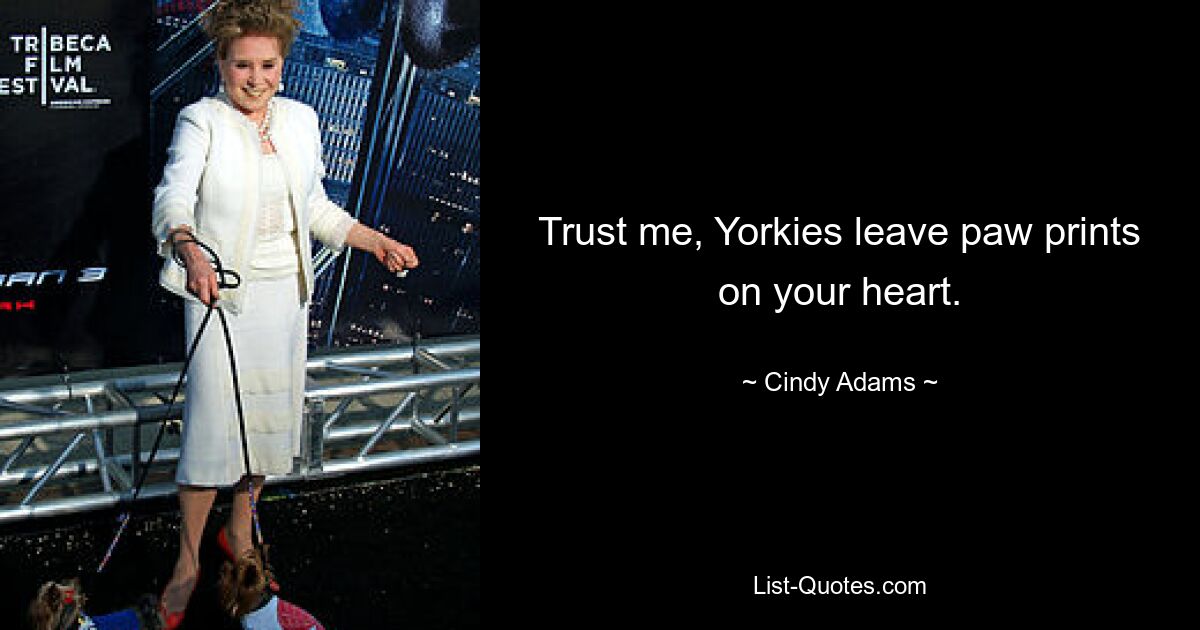 Trust me, Yorkies leave paw prints on your heart. — © Cindy Adams