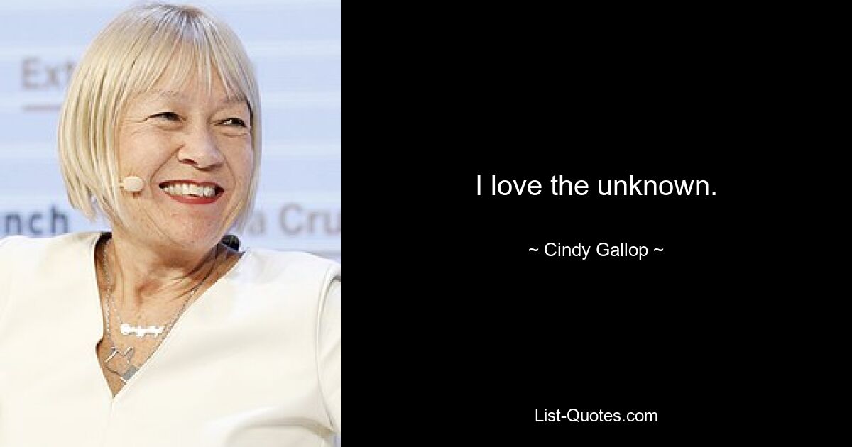 I love the unknown. — © Cindy Gallop