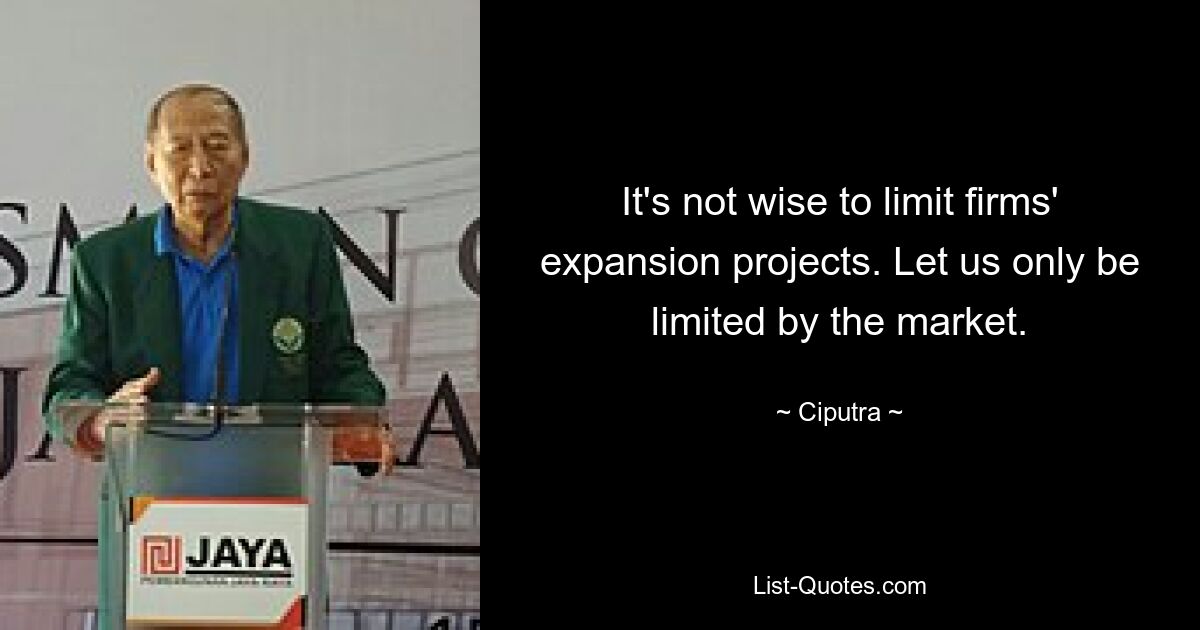 It's not wise to limit firms' expansion projects. Let us only be limited by the market. — © Ciputra