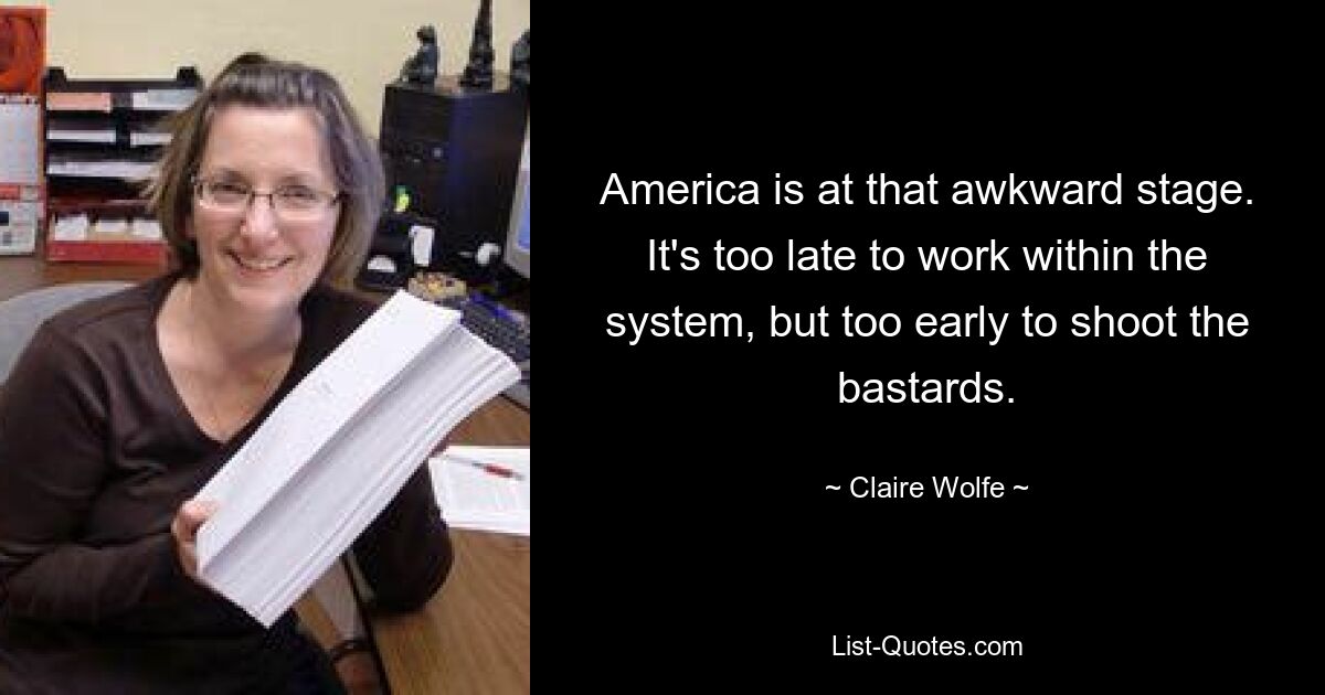 America is at that awkward stage. It's too late to work within the system, but too early to shoot the bastards. — © Claire Wolfe