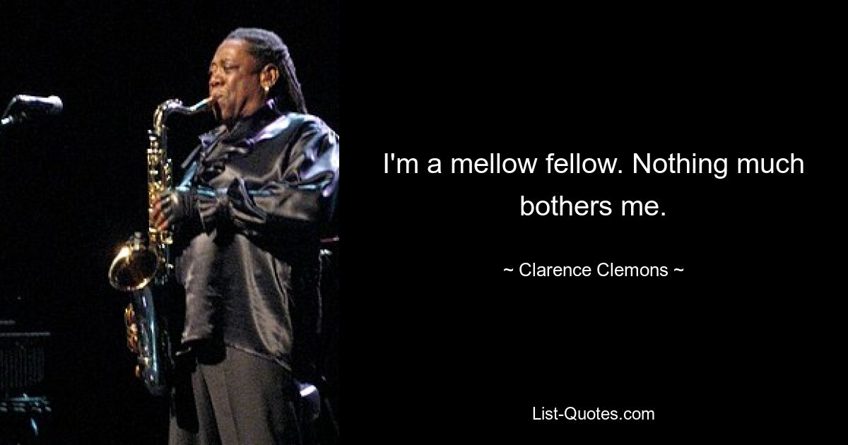 I'm a mellow fellow. Nothing much bothers me. — © Clarence Clemons