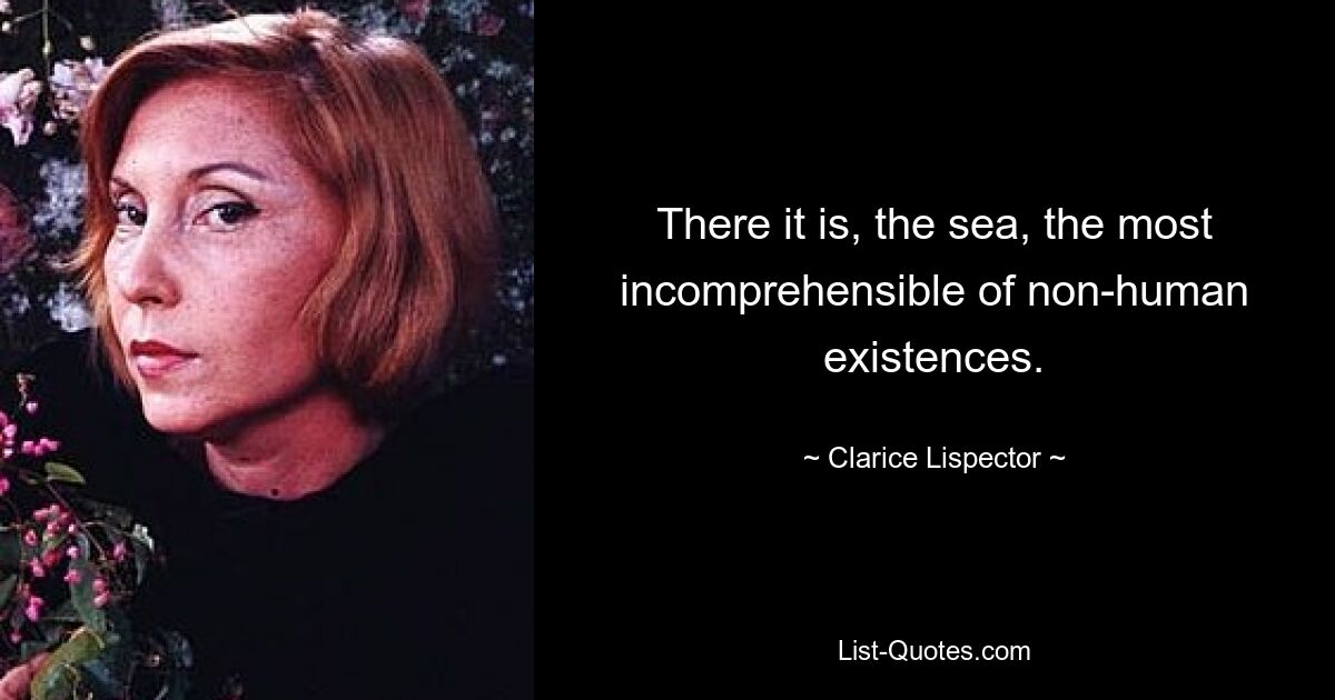 There it is, the sea, the most incomprehensible of non-human existences. — © Clarice Lispector