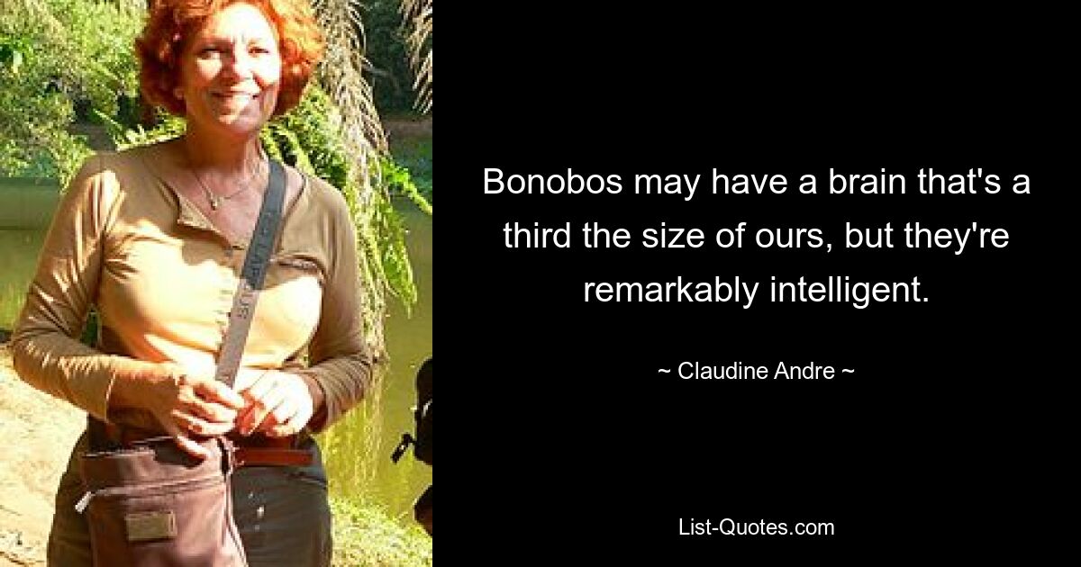 Bonobos may have a brain that's a third the size of ours, but they're remarkably intelligent. — © Claudine Andre