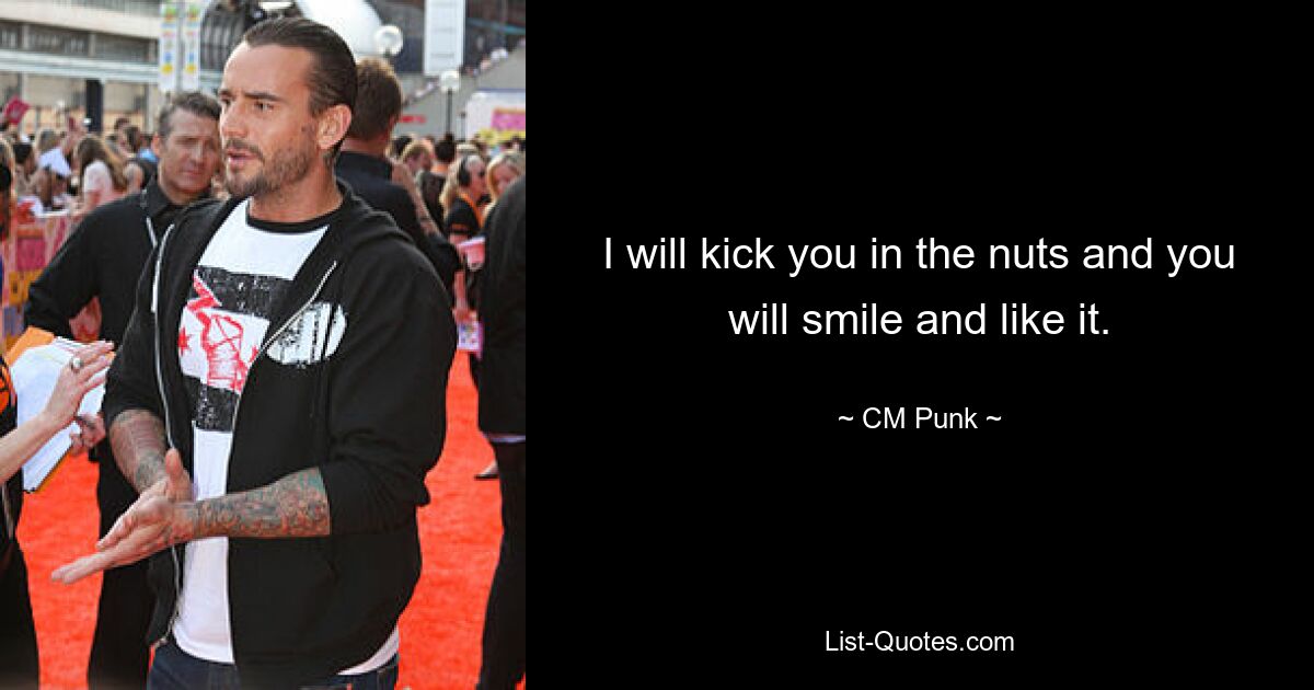 I will kick you in the nuts and you will smile and like it. — © CM Punk