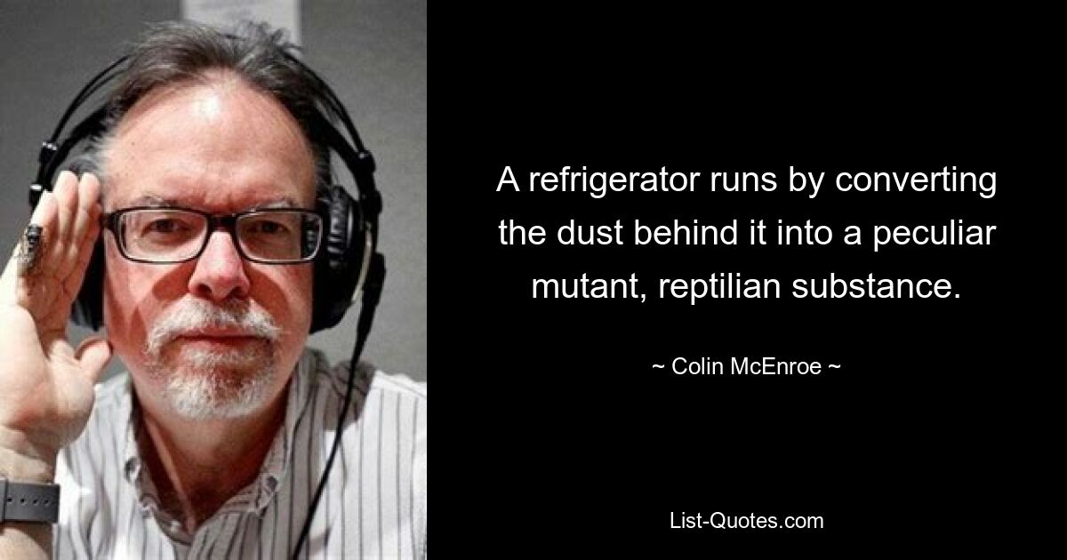 A refrigerator runs by converting the dust behind it into a peculiar mutant, reptilian substance. — © Colin McEnroe