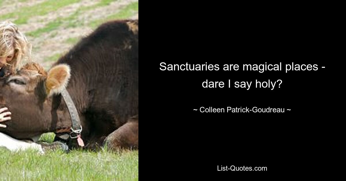 Sanctuaries are magical places - dare I say holy? — © Colleen Patrick-Goudreau