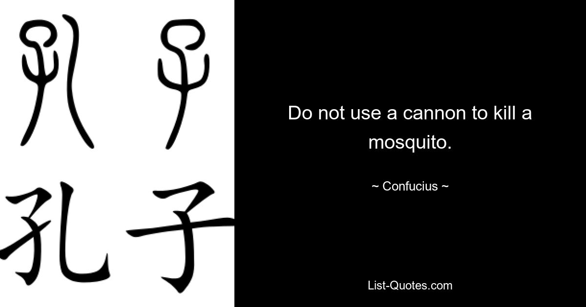 Do not use a cannon to kill a mosquito. — © Confucius