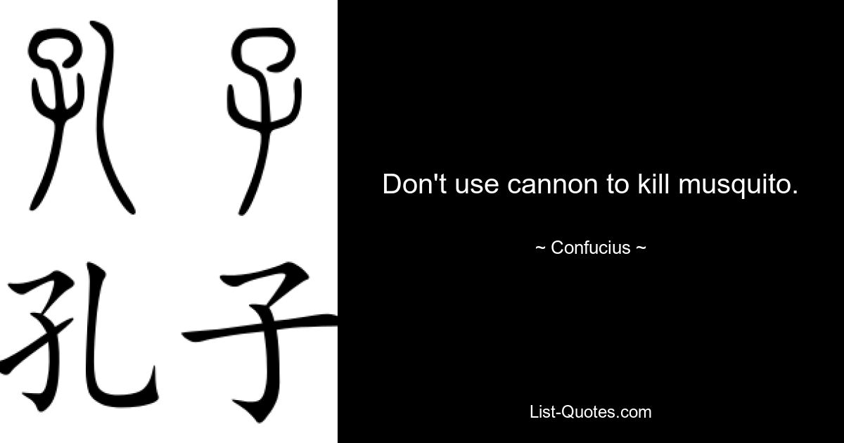 Don't use cannon to kill musquito. — © Confucius