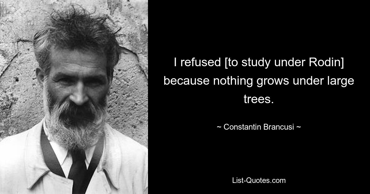 I refused [to study under Rodin] because nothing grows under large trees. — © Constantin Brancusi