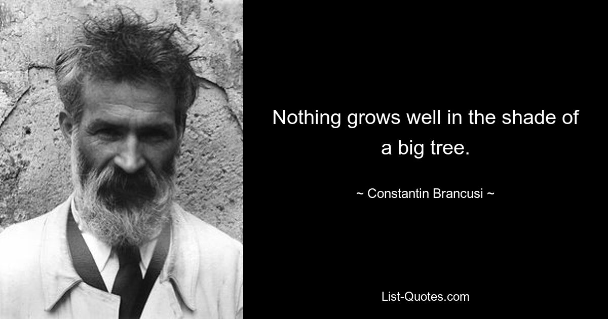 Nothing grows well in the shade of a big tree. — © Constantin Brancusi