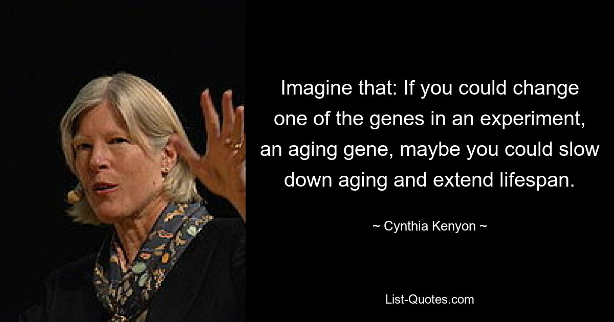 Imagine that: If you could change one of the genes in an experiment, an aging gene, maybe you could slow down aging and extend lifespan. — © Cynthia Kenyon