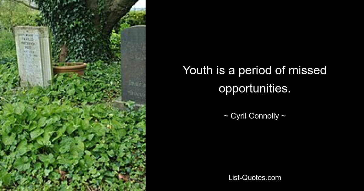 Youth is a period of missed opportunities. — © Cyril Connolly