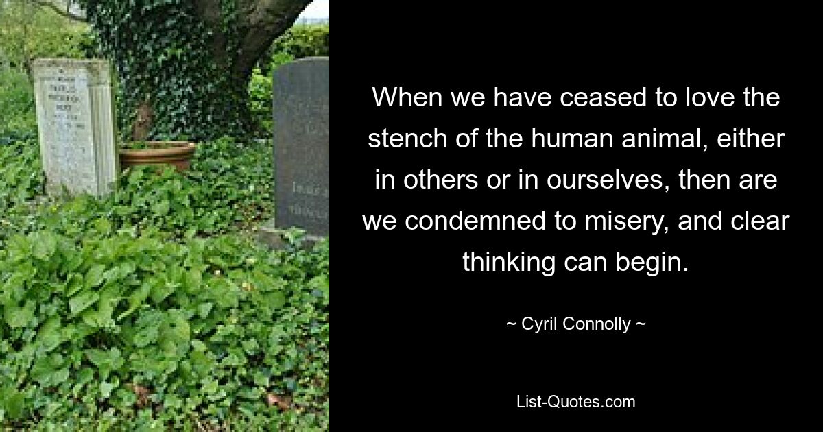 When we have ceased to love the stench of the human animal, either in others or in ourselves, then are we condemned to misery, and clear thinking can begin. — © Cyril Connolly