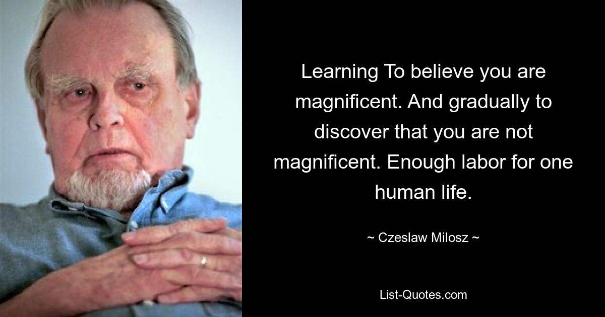 Учимся верить, что вы великолепны. И постепенно обнаружить, что ты не великолепен. Труда хватит на одну человеческую жизнь. — © Чеслав Милош 