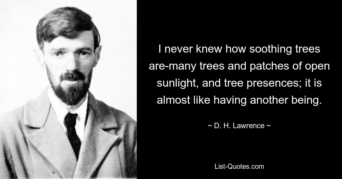 I never knew how soothing trees are-many trees and patches of open sunlight, and tree presences; it is almost like having another being. — © D. H. Lawrence