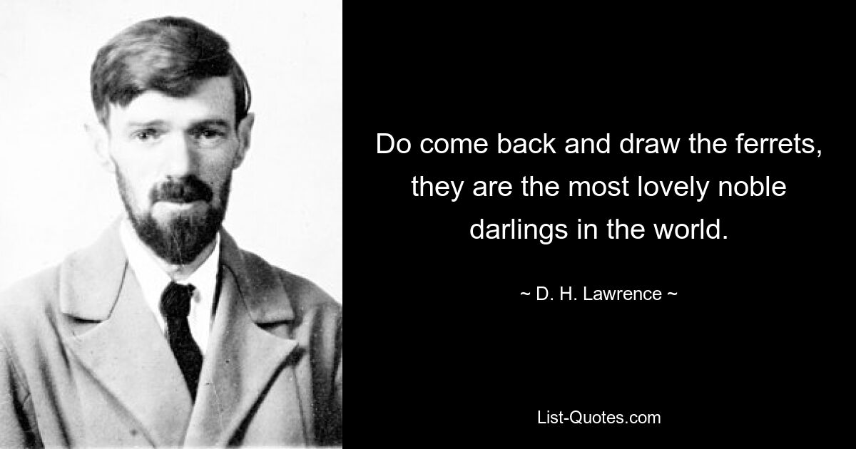 Do come back and draw the ferrets, they are the most lovely noble darlings in the world. — © D. H. Lawrence