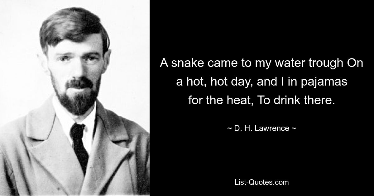 A snake came to my water trough On a hot, hot day, and I in pajamas for the heat, To drink there. — © D. H. Lawrence