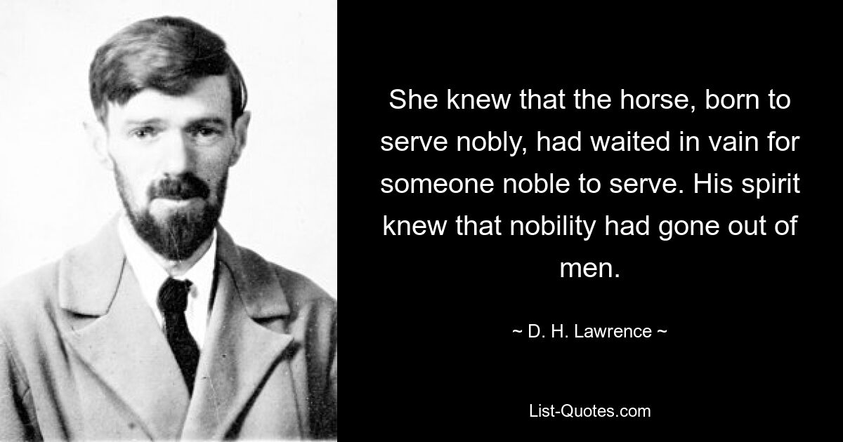 She knew that the horse, born to serve nobly, had waited in vain for someone noble to serve. His spirit knew that nobility had gone out of men. — © D. H. Lawrence