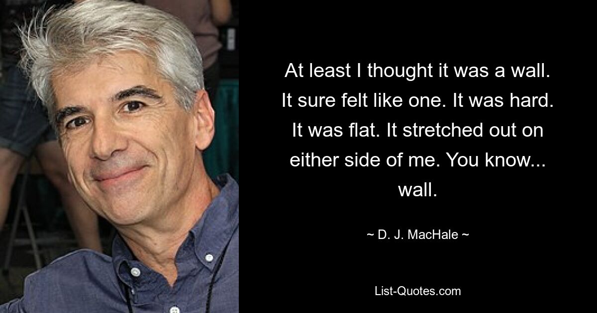 At least I thought it was a wall. It sure felt like one. It was hard. It was flat. It stretched out on either side of me. You know... wall. — © D. J. MacHale