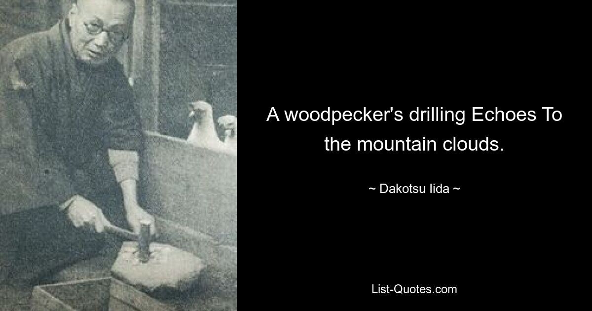 A woodpecker's drilling Echoes To the mountain clouds. — © Dakotsu Iida