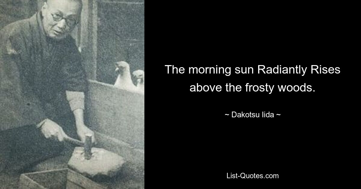 The morning sun Radiantly Rises above the frosty woods. — © Dakotsu Iida