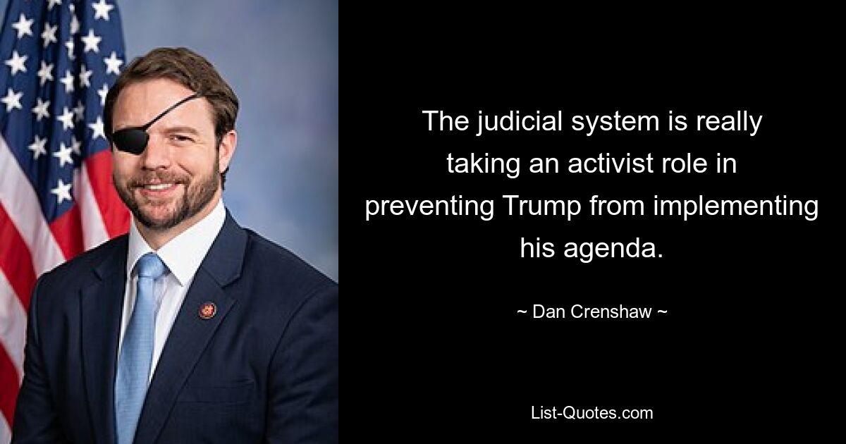 The judicial system is really taking an activist role in preventing Trump from implementing his agenda. — © Dan Crenshaw