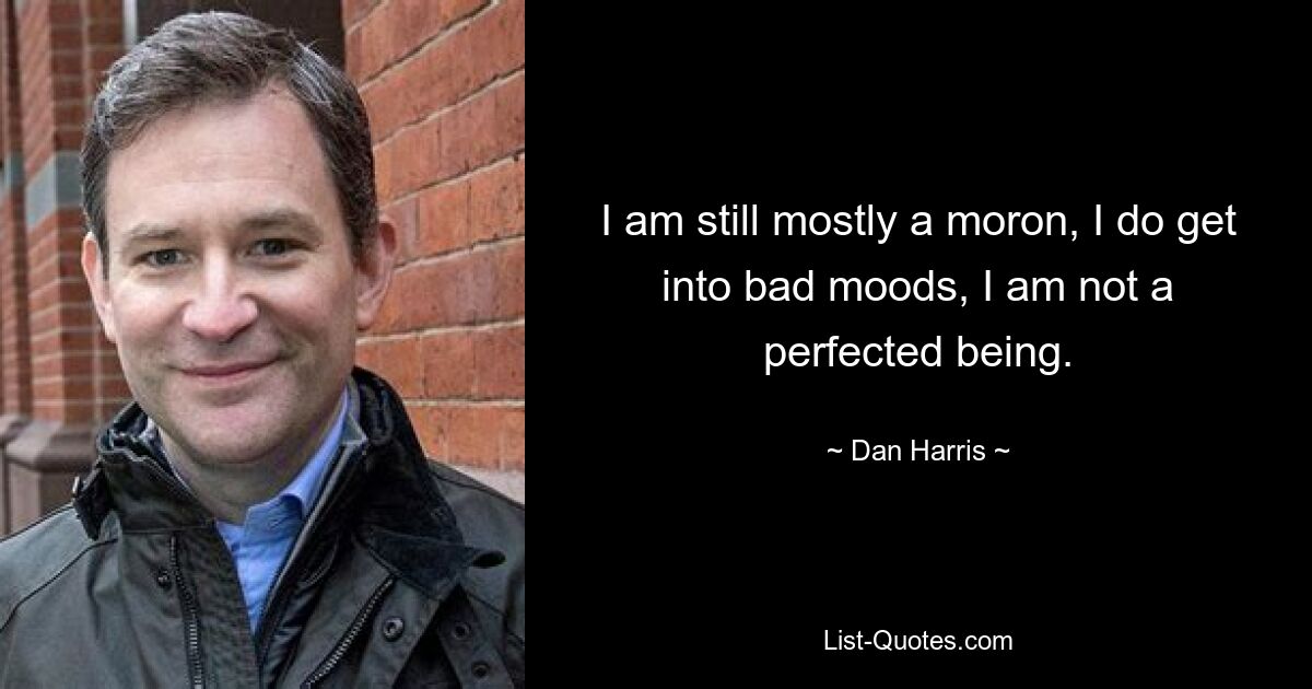 I am still mostly a moron, I do get into bad moods, I am not a perfected being. — © Dan Harris