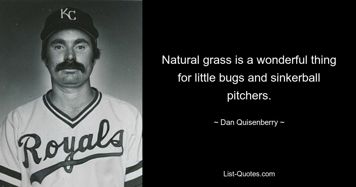 Natural grass is a wonderful thing for little bugs and sinkerball pitchers. — © Dan Quisenberry