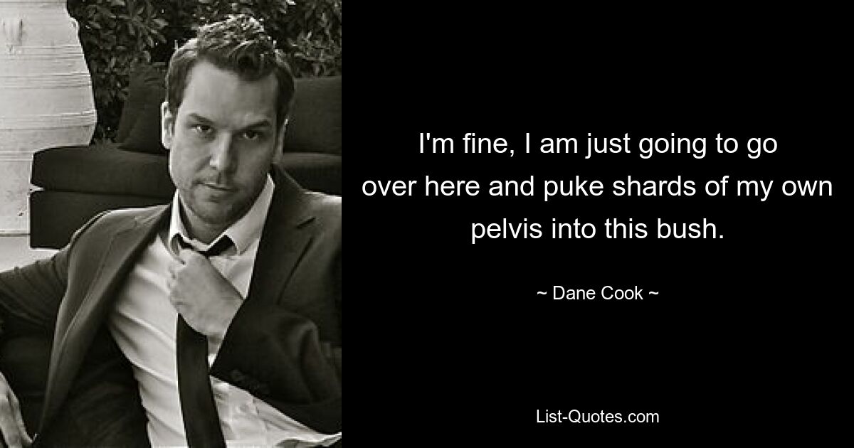 I'm fine, I am just going to go over here and puke shards of my own pelvis into this bush. — © Dane Cook