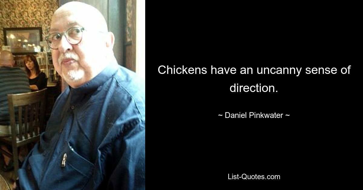 Chickens have an uncanny sense of direction. — © Daniel Pinkwater