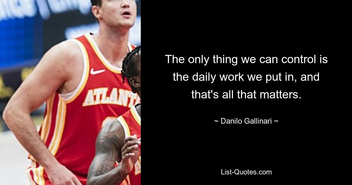 The only thing we can control is the daily work we put in, and that's all that matters. — © Danilo Gallinari