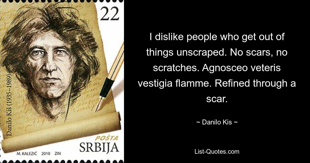 I dislike people who get out of things unscraped. No scars, no scratches. Agnosceo veteris vestigia flamme. Refined through a scar. — © Danilo Kis