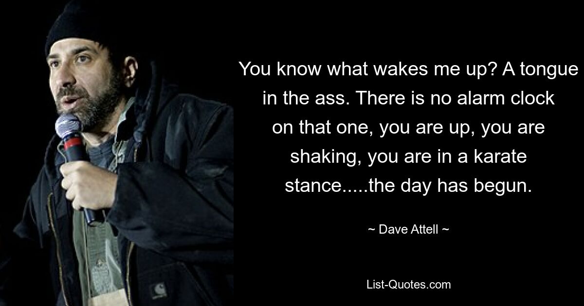 You know what wakes me up? A tongue in the ass. There is no alarm clock on that one, you are up, you are shaking, you are in a karate stance.....the day has begun. — © Dave Attell