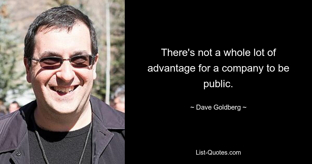 There's not a whole lot of advantage for a company to be public. — © Dave Goldberg