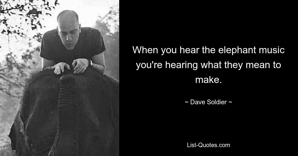 When you hear the elephant music you're hearing what they mean to make. — © Dave Soldier