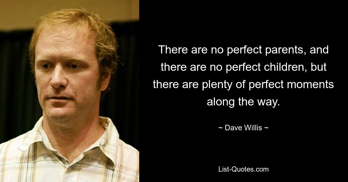 There are no perfect parents, and there are no perfect children, but there are plenty of perfect moments along the way. — © Dave Willis