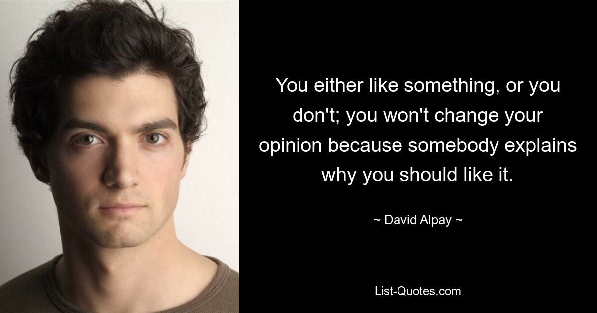 You either like something, or you don't; you won't change your opinion because somebody explains why you should like it. — © David Alpay